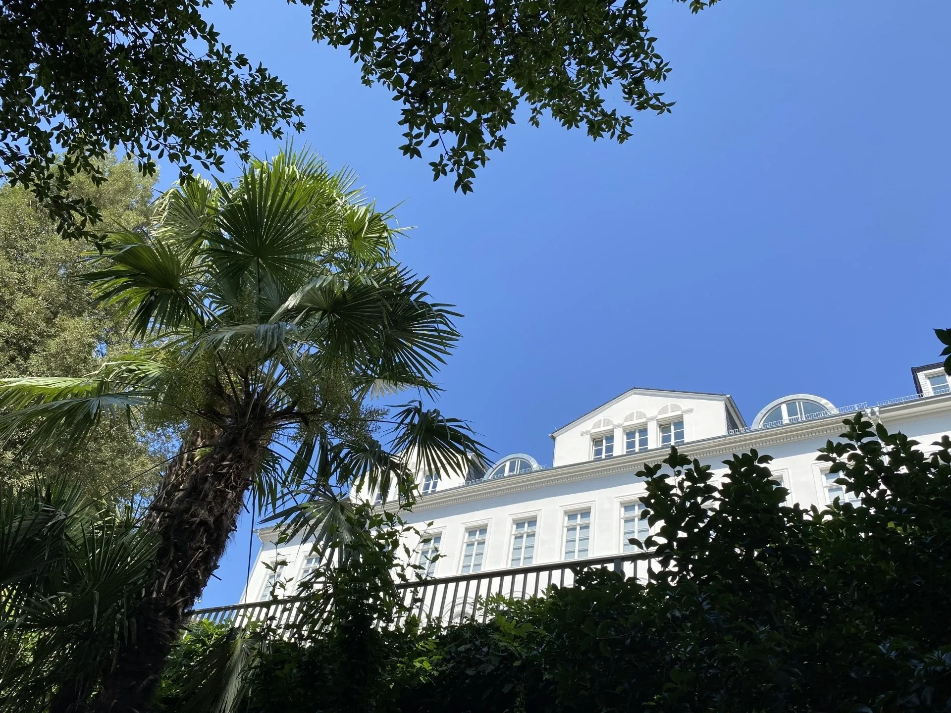 Nizzaufer Frankfurt Mainufer Stadtführung